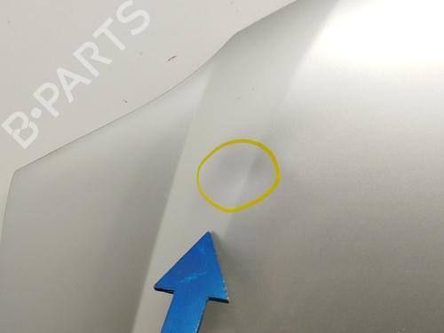 Motorhjelm DACIA LOGAN (LS_) 1.5 dCi (LS0K) | BP13649022C1