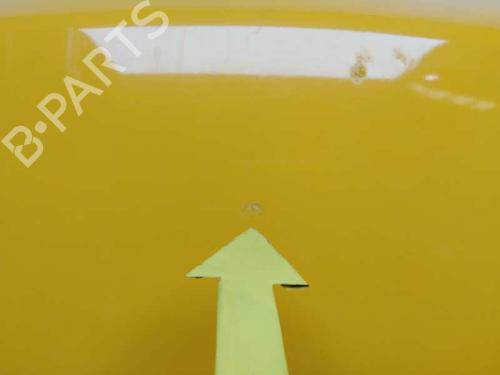 Hood NISSAN X-TRAIL I (T30)  | BP5926624C1 