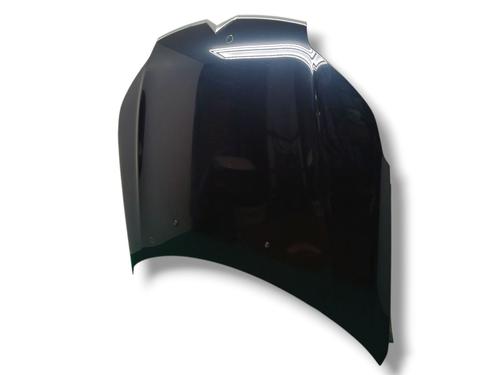 Hood CITROËN C5 III (RD_) 2.7 HDi (RDUHZJ) | BP30197050C1 