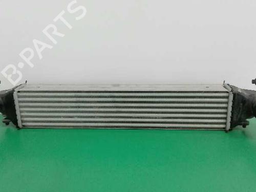 Used Intercooler JEEP RENEGADE SUV (BU, B1, BV) 1.6 CRD (120 hp) 3675134