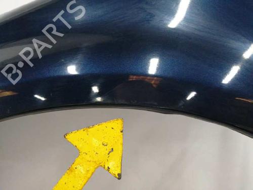 Left front fenders RENAULT MODUS / GRAND MODUS (F/JP0_) 1.5 dCi (FP0F, JP0F) | BP8915912C41 