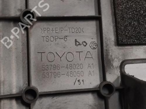 Topbeskyttelse LEXUS RX (_U3_) [2003-2008]  13659083