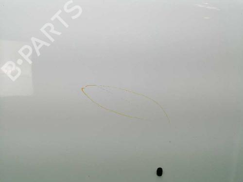Hood FORD TRANSIT CONNECT (P65_, P70_, P80_) 1.8 TDCi | BP6712059C1