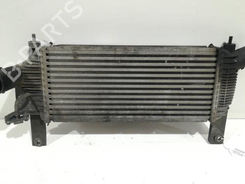 Used Intercooler NISSAN PATHFINDER III (R51) 2.5 dCi 4WD (171 hp) 9359222