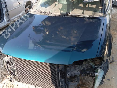 Used Hood VW PASSAT B5.5 (3B3) 1.9 TDI (130 hp) 19443053