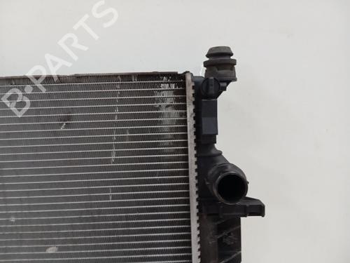Water radiator FORD MONDEO IV (BA7)  | BP21142794M31 