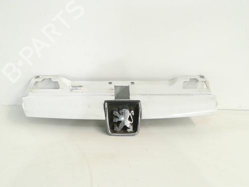 Used Grille PEUGEOT 406 (8B) [1995-2005]  9369963