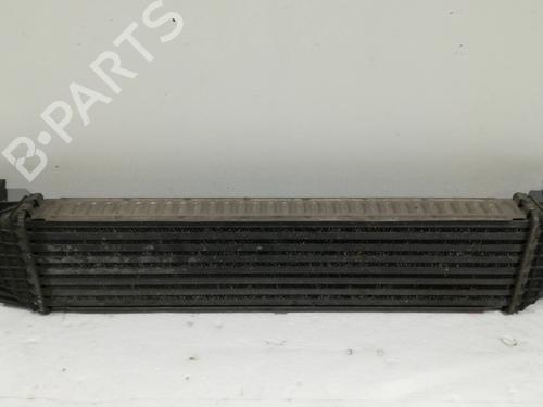 Intercooler FORD FOCUS II (DA_, HCP, DP)  | BP22338717M30 