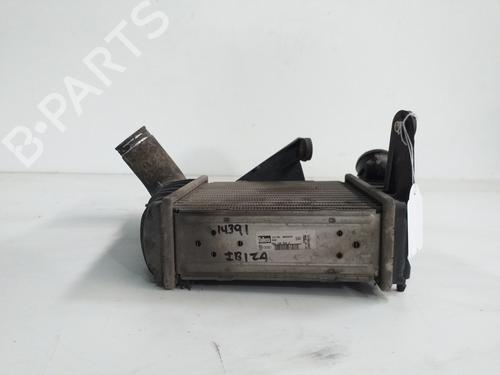Intercooler SEAT IBIZA III (6L1)  | BP19438591M30 