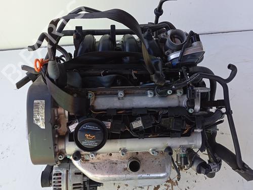 Motor SEAT IBIZA III (6L1) [2002-2009]  30641960