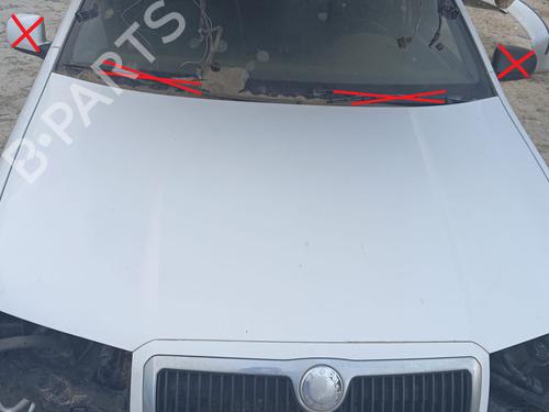 Panser SKODA FABIA I (6Y2) [1999-2008]  16232157