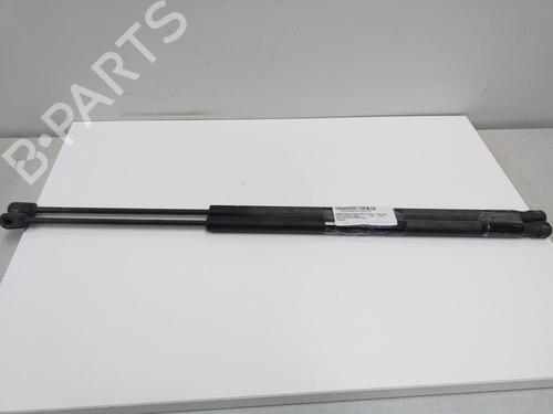 Used Tailgate lift support FORD FIESTA V (JH_, JD_) [2001-2014]  18062766