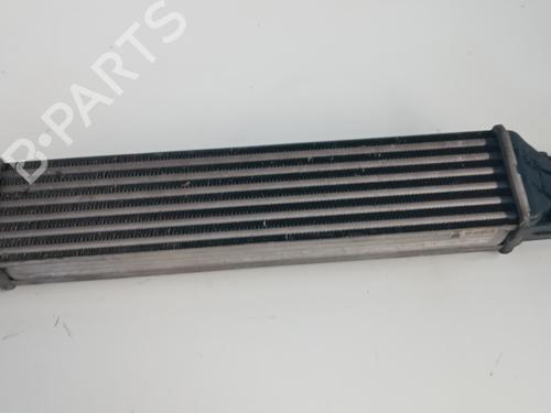 Intercooler FIAT PUNTO EVO (199_) 1.3 D Multijet (199AXC1A, 199BXC1A, 199AXT1A, 199BXT1A) | BP15897396M30 