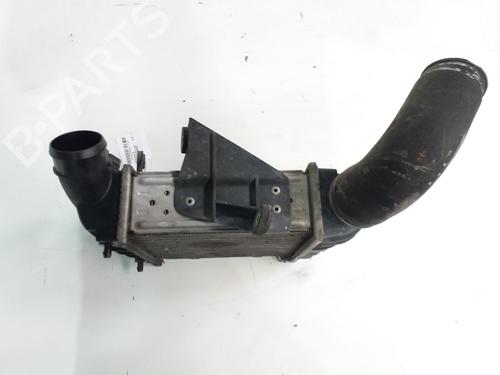 Intercooler SEAT IBIZA III (6L1)  | BP19438591M30 