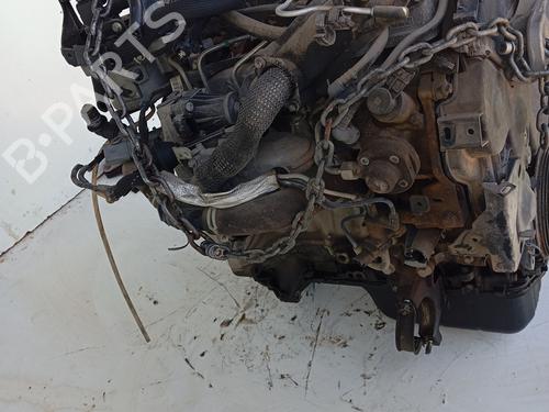 Engine FORD FIESTA VI (CB1, CCN) 1.4 TDCi | BP30111202M1