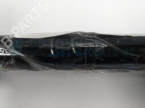 Tailgate lift support FORD FIESTA V (JH_, JD_)  | BP18062766C138 