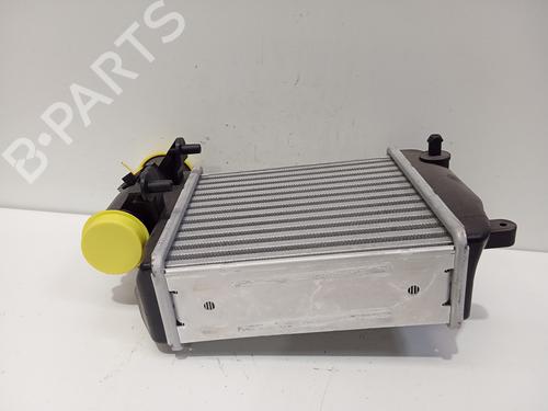 Intercooler AUDI A6 C6 (4F2)  | BP21170171M30 