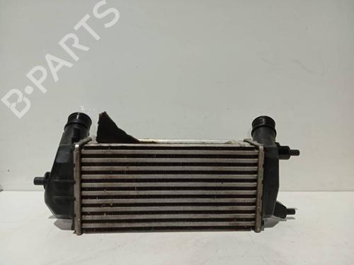 Intercooler FORD ECONOLINE Van | BP38530684M30 - Image 4