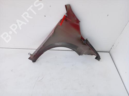 Left front fenders RENAULT MEGANE III Hatchback (BZ0/1_, B3_) 1.5 dCi (BZ09, BZ0D, BZ1W, BZ29, BZ14) | BP31762127C41