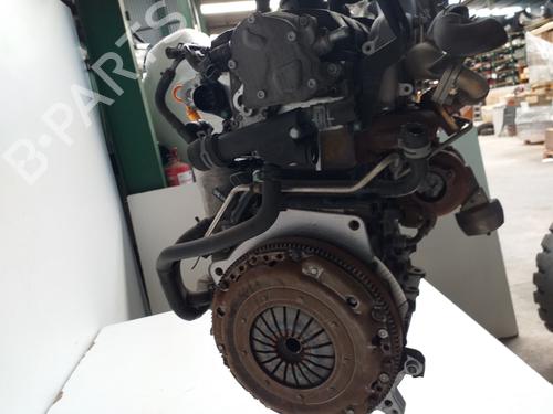 Engine SEAT IBIZA III (6L1)  | BP18472916M1 
