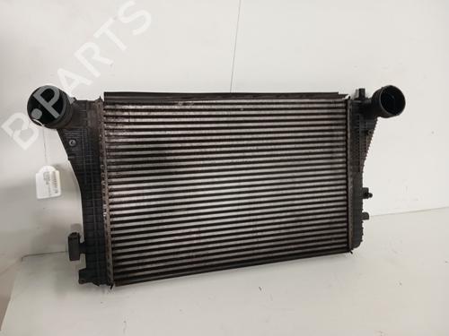 Intercooler VW GOLF V (1K1)  | BP21142796M30 