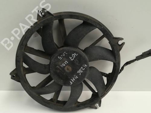 Used Radiator fan PEUGEOT 307 (3A/C) [2000-2012]  9349296