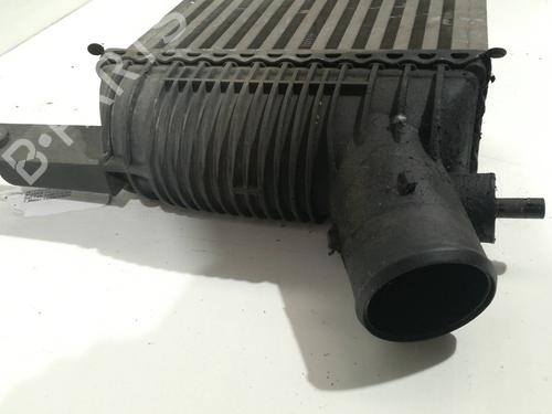 Intercooler NISSAN PATHFINDER III (R51) 2.5 dCi 4WD | BP9359222M30 