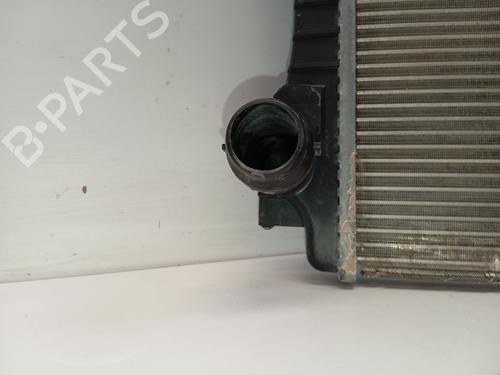 Water radiator VW GOLF VIII (CD1, DA1) | BP38411221M31 - Image 3