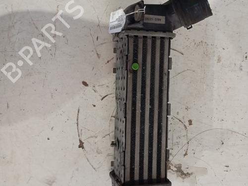 Used Intercooler SEAT CORDOBA (6K1, 6K2) [1993-2002]  32292958