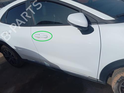Front right exterior door handle FORD PUMA (J2K, CF7)  | BP29533166C129 