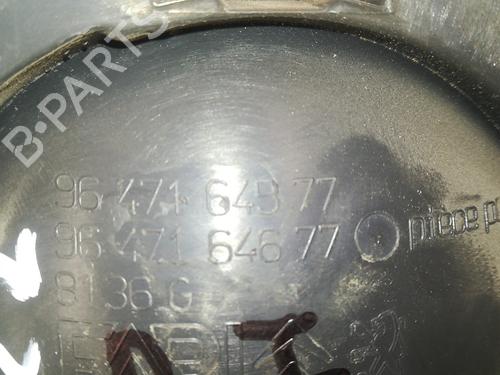 Venstre foran invendig håndtak CITROËN C3 I (FC_, FN_) 1.4 HDi | BP13361469I13 