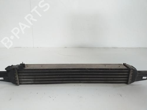Intercooler FIAT FIORINO Box Body/MPV (225_) 1.3 D Multijet (225BXD1A, 225BXB1A, 225BXB11) | BP15762286M30 