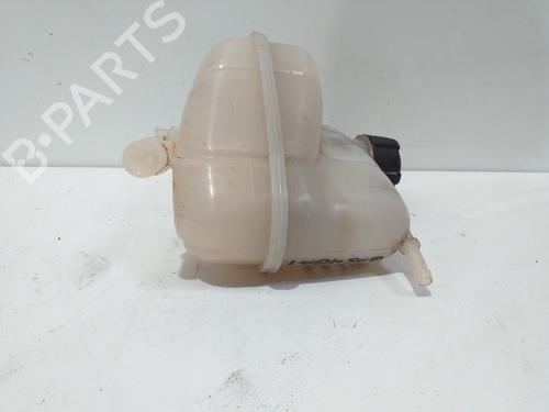 Expansion tank NISSAN QASHQAI II (J11, J11_)  | BP24109425C120 