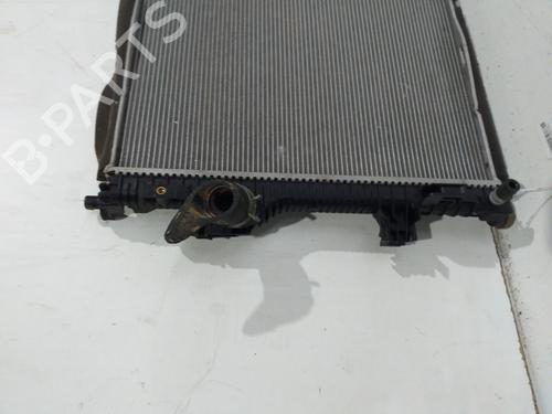 Water radiator FORD PUMA (J2K, CF7)  | BP29533196M31 
