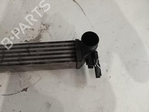 Intercooler SEAT IBIZA III (6L1) | BP32292959M30