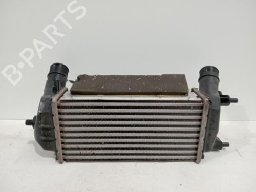 Intercooler FORD TOURNEO COURIER B460 MPV 1.0 EcoBoost | BP17000317M30 