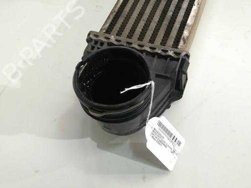 Intercooler MERCEDES-BENZ B-CLASS Sports Tourer (W245) B 200 CDI (245.208) | BP11138033M30 