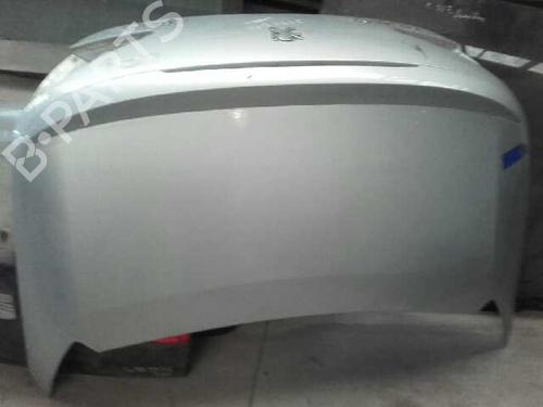 Used Tailgate PEUGEOT 307 CC (3B) [2003-2009]  9432160