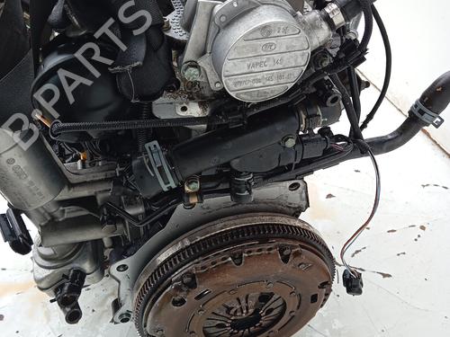 Engine SEAT LEON (1M1)  | BP31280132M1 