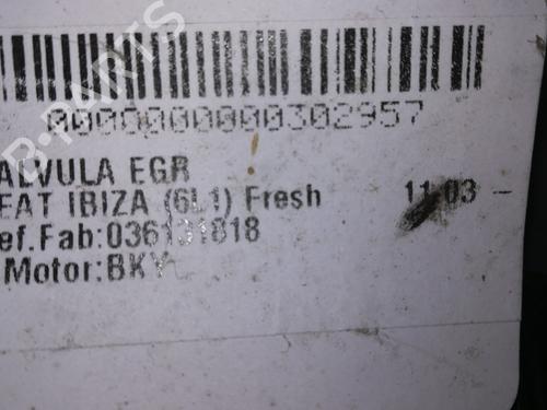 Egr SEAT IBIZA III (6L1)  | BP9361972M69 