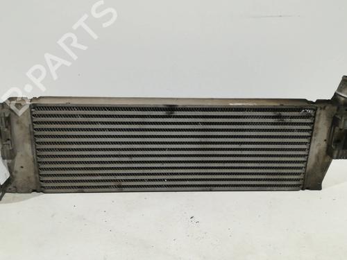Used Intercooler RENAULT MEGANE II (BM0/1_, CM0/1_) 1.5 dCi (BM1F, CM1F) (86 hp) 16123865