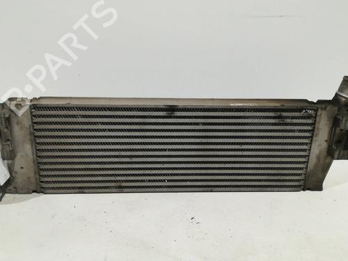 Intercooler RENAULT MEGANE II (BM0/1_, CM0/1_) 1.5 dCi (BM1F, CM1F) (86 hp) 8200700172 |