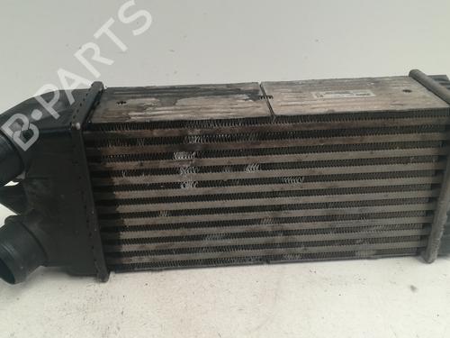 Intercooler CITROËN XSARA PICASSO (N68) 1.6 HDi | BP13021046M30 