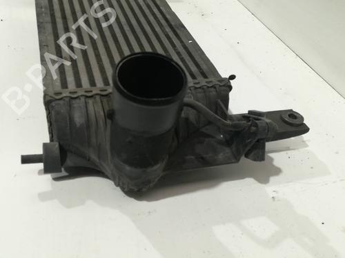 Intercooler NISSAN PATHFINDER III (R51) 2.5 dCi 4WD | BP9359222M30 
