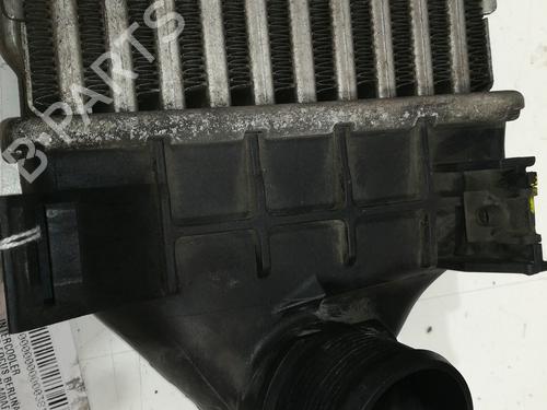 Intercooler FORD FOCUS II (DA_, HCP, DP)  | BP17216789M30 