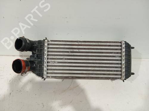 Intercooler CITROËN C3 III (SX) [2016-2026]  32292964
