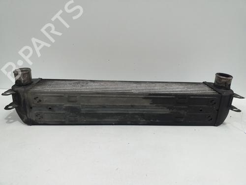 Intercooler LAND ROVER RANGE ROVER SPORT I (L320) 2.7 D 4x4 | BP16907913M30 