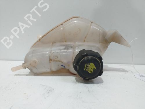 Expansion tank NISSAN QASHQAI II (J11, J11_)  | BP24109425C120 