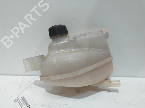 Used Expansion tank NISSAN QASHQAI II (J11, J11_) [2013-2025]  24109425