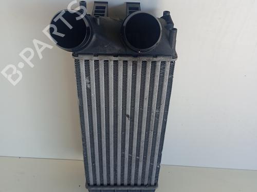 Intercooler Intercooler CITROËN C4 II (NC_) [2009-2026] 36073443 36073443